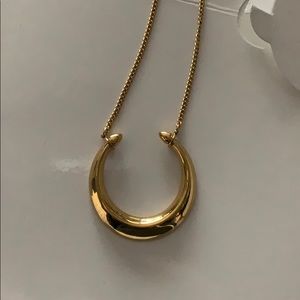 Double horn pendant necklace